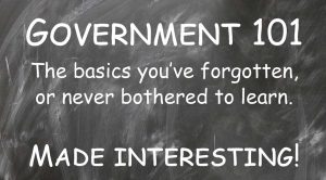 Government-101-graphic-1