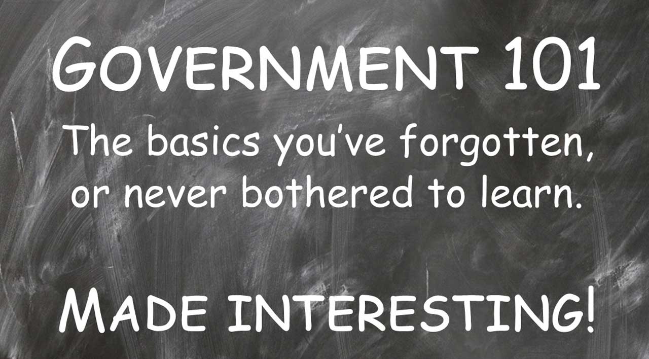 Government-101-graphic-1