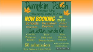 pumpkin-patch