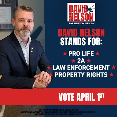 David Nelson For Senate - 3