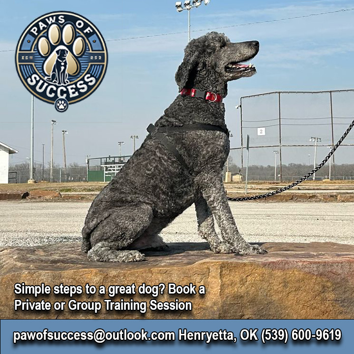 Paws-Of-Success-ad-7