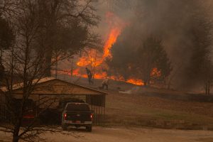 Wildfire day-08
